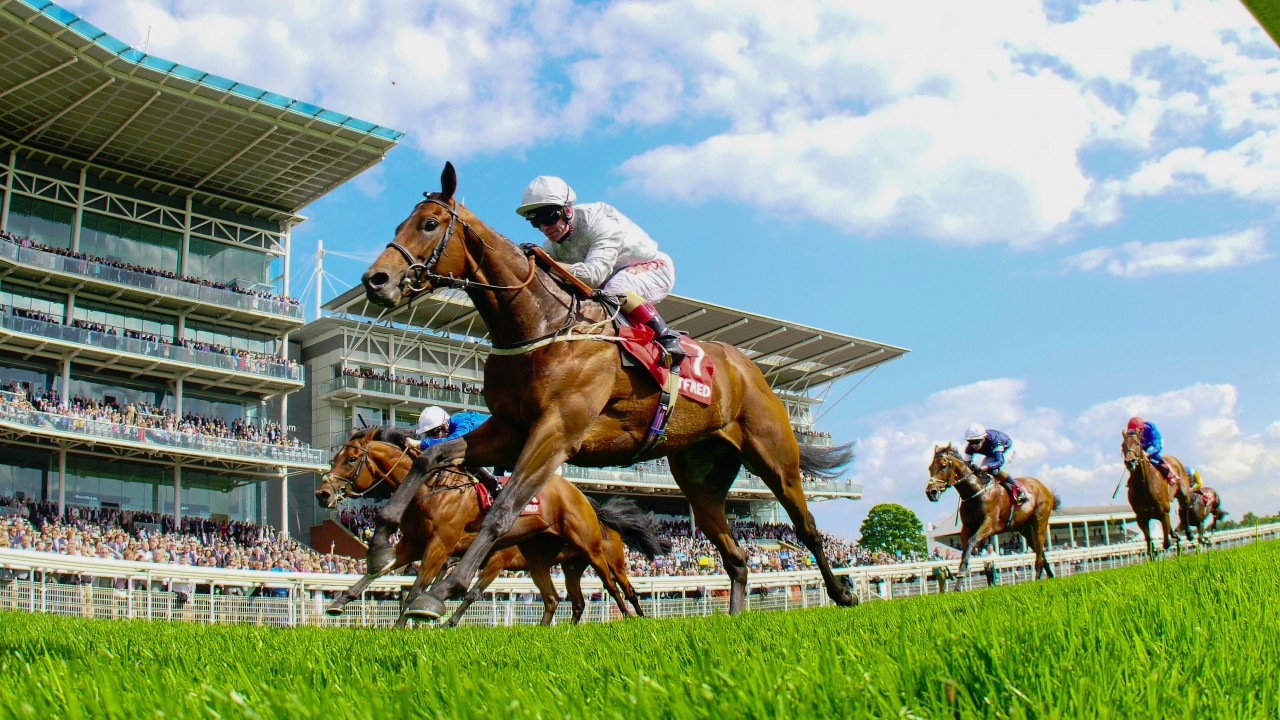 Sign Up Code For Betway Sign Up Code For Betway
