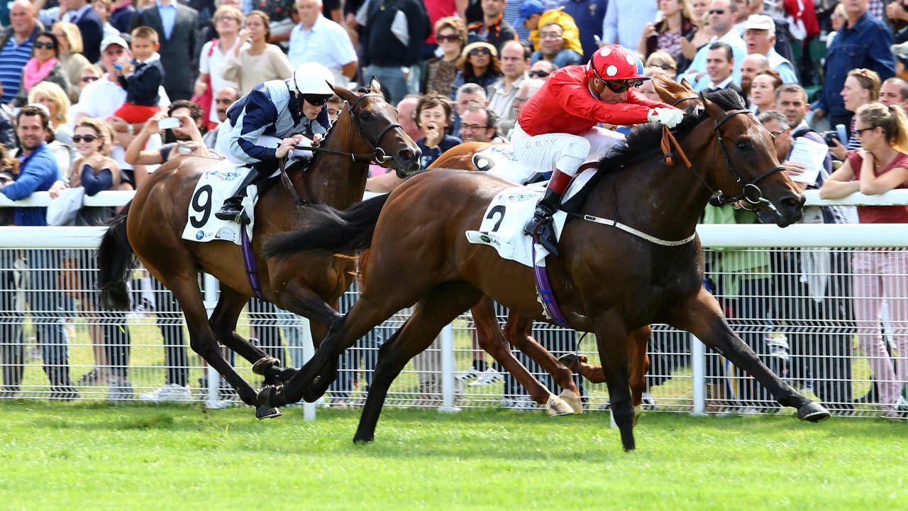 Image result for Garswood horse