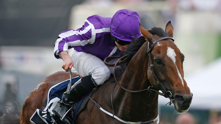 Highland Reel: seven-time Group 1 winner is by Galileo out of Hveger