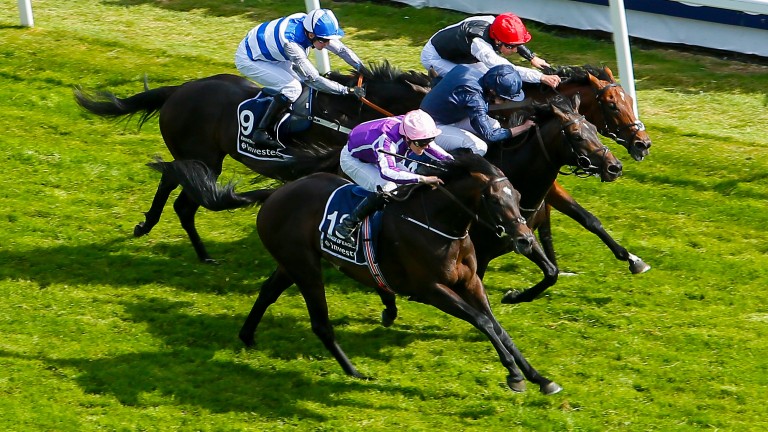 Eminent (left) finishes fourth to Wings Of Eagles in the Derby