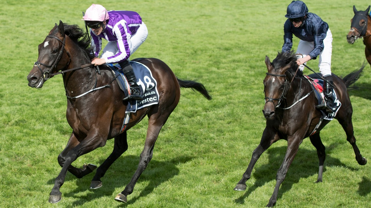 Eagles not out of awards reckoning despite retirement Horse Racing