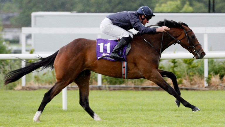 September: daughter of Deep Impact put in a dazzling debut at Leopardstown