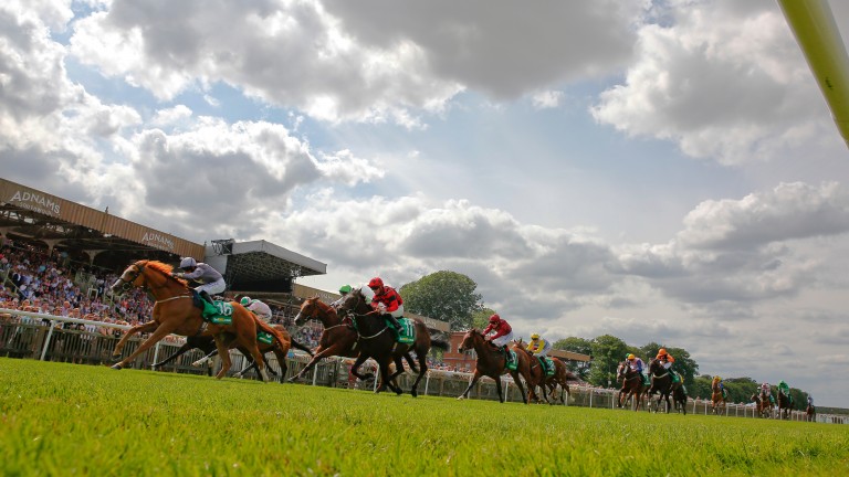 The Bunbury Cup would get the season on Newmarket's July course off to a spectacular start