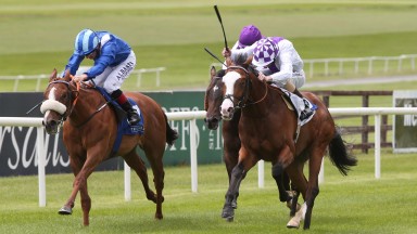 Moghamarah (left) finishes a promising second to Strike For Freedom at the Curragh