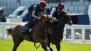 Morning exercise: Happy Like A Fool (Jamie Spencer) and Princess Peggy (Ryan Moore) during their workout