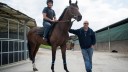 Relaxed and ready: Ascot hotpot Ribchester with work rider John Murphy and trainer Richard Fahey