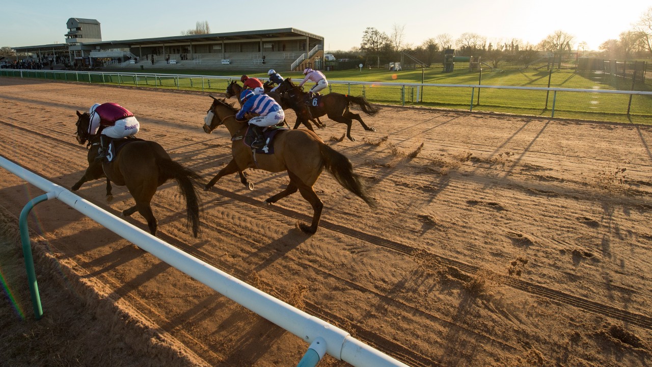 Views of trainers and jockeys sought over possible Southwell surface