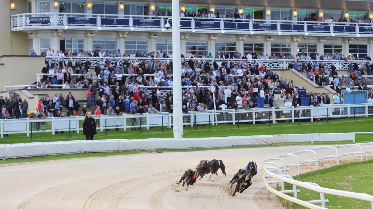 Racing post betting site greyhounds cards of humanity legal betting sites in usa