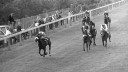 Hatta: Sheikh Mohammed's first winner follows up in the  Molecomb Stakes at Goodwood, with Ron Hutchinson in the saddle; second is Amaranda (Lester Piggott)