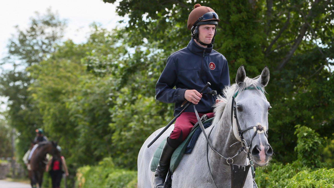 Image result for brian toomey jockey