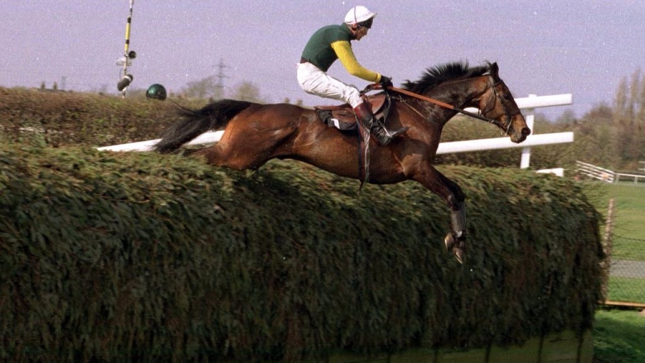 owner of dublin flyer and royal marshal ii dies aged 94 horse dublin flyer