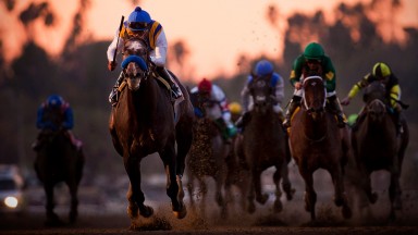 The Factor (blue noseband): chasing a first Royal Ascot winner through his son Bound For Nowhere in the Commonwealth Cup