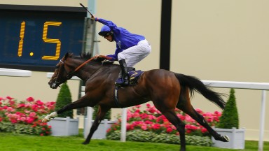 Kieren Shoemark salutes the crowd after his emphatic victory on Atty Persse