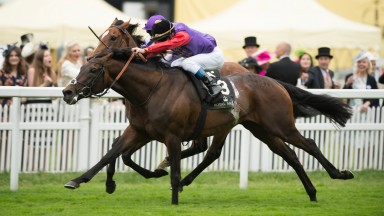 Dartmouth (O.Peslier) beats Highland Reel in the HardwickeAscot 18.6.16 Pic: Edward Whitaker
