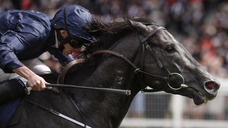 Caravaggio one of three new additions to the Coolmore roster for 2018