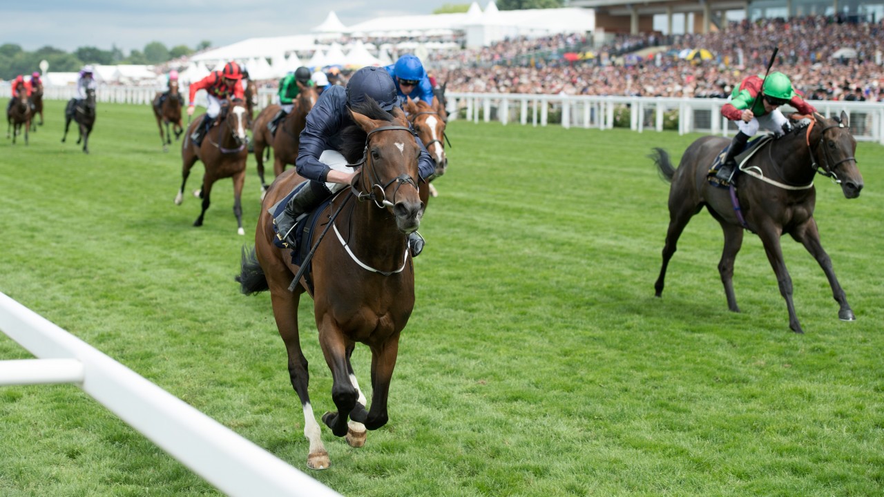 Image result for september curragh