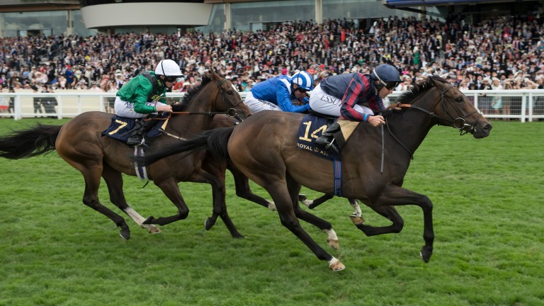 The Tin Man (right) wins the Diamond Jubilee from Tasleet and Limato (7)