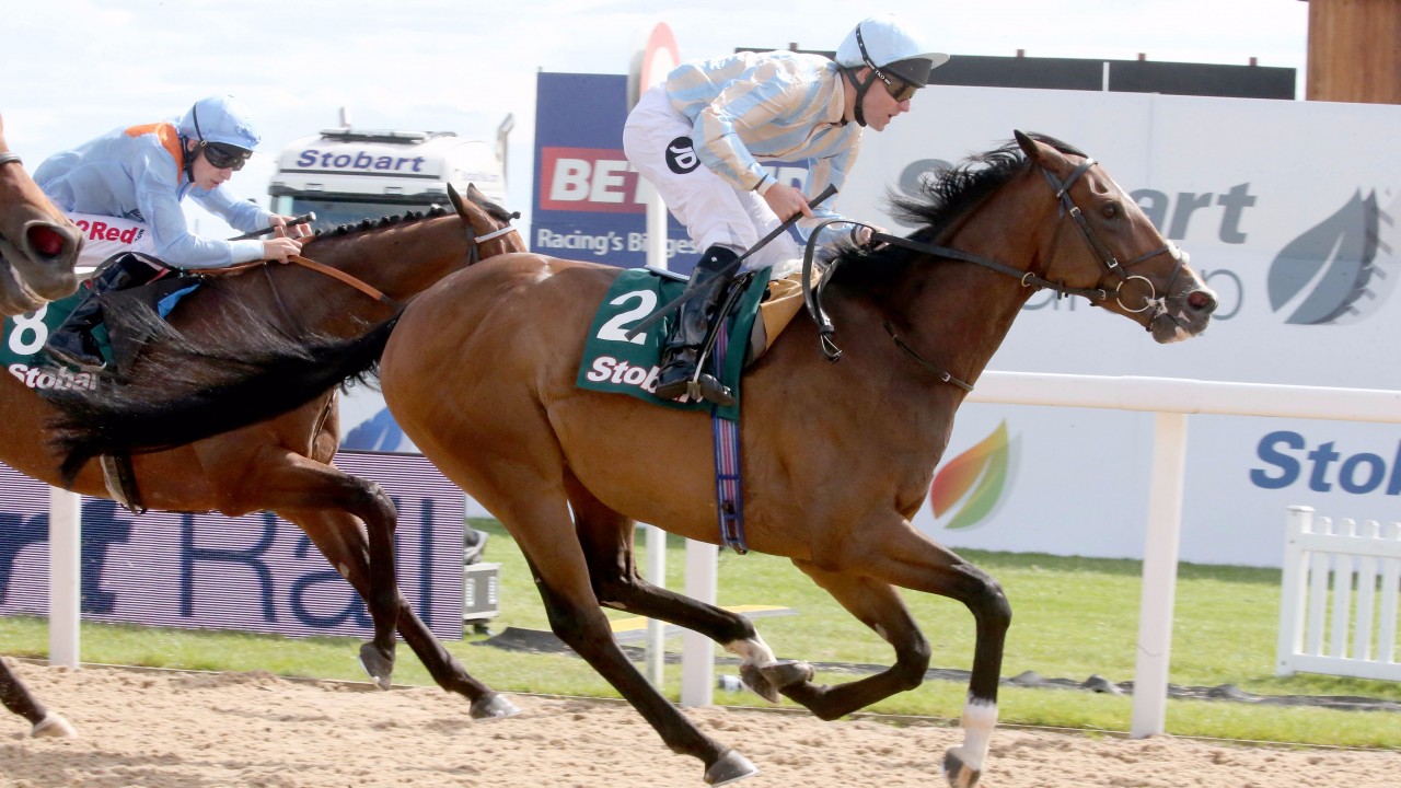 Fanshawe and Queally on cloud nine as Higher Power strikes Horse