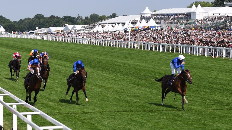 Barney Roy (James Doyle, right) lands the St James's Palace Stakes and now steps up to ten furlongs