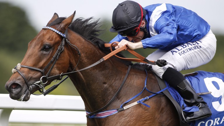 Battaash: every chance he will thrive at Goodwood in the King George Stakes