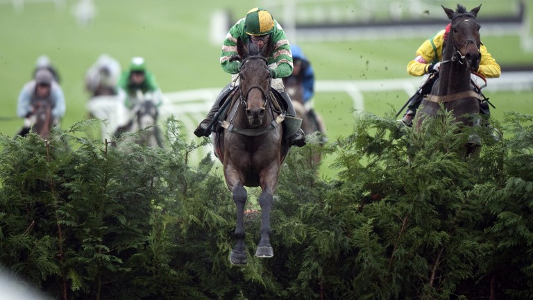 Garde Champetre: the highest-priced jumper ever sold at auction in winning style at Cheltenham