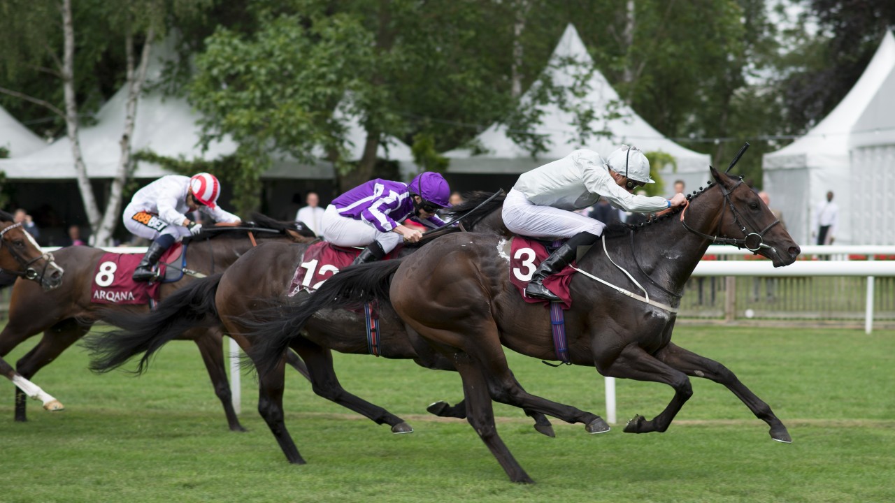 Newmarket Racing Stable Tours Newmarket Racing Stable Tours