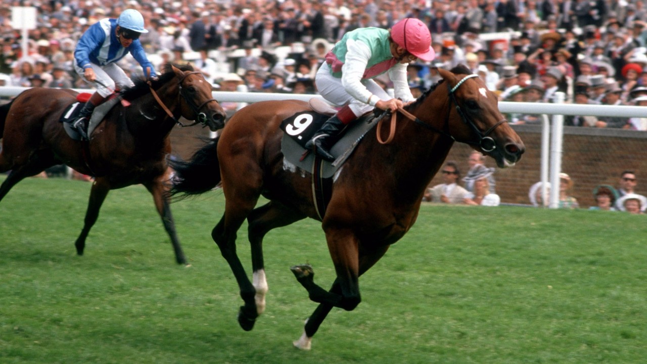 willie carson danehill orrery better fillies those got amazing she flies cork 1989 success record course under