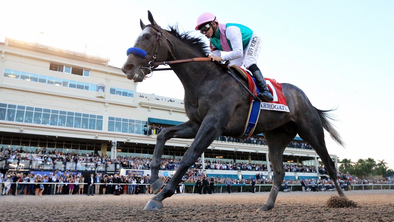 Accelerate Upsets Arrogate in San Diego Accelerate Upsets Arrogate in San Diego
