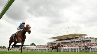 The duel that never was: Frankel powers to victory as an injured Canford Cliffs tolis on the far rail.