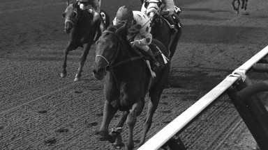 Damascus winning at Saratoga