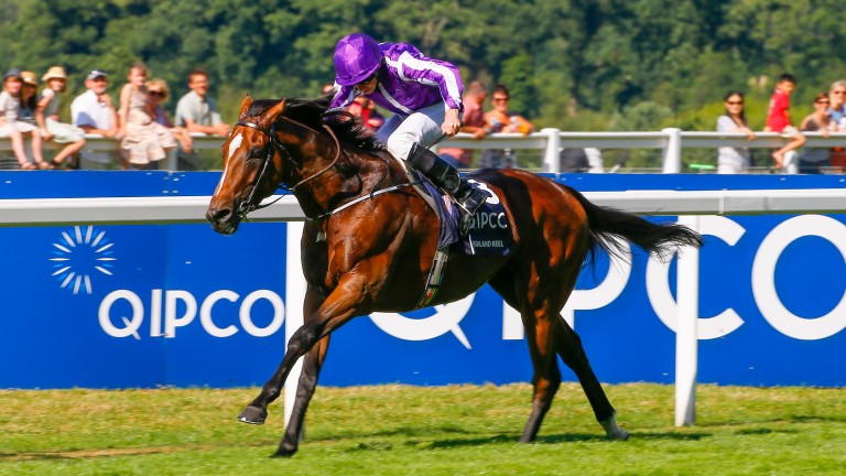 Highland Reel: should be able to adapt to the easier ground