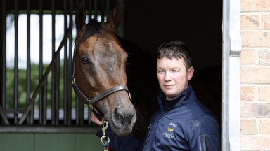 David Griffiths and his stable star Take Cover