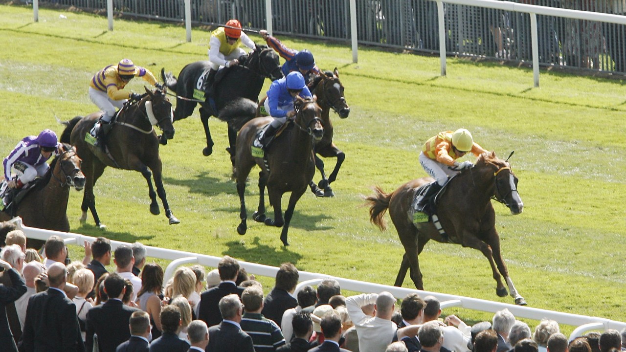 It Wasn T A Natural Fit I M Not Somebody Who Likes To Be Centre Of Attention Horse Racing News Racing Post