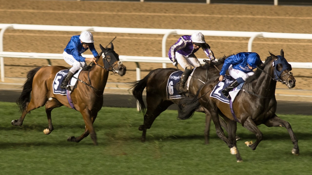 Jack Hobbs odds tumble with ground and trip to suit Horse Racing News