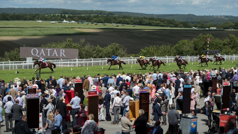 Expert Eye was superb at Goodwood last year