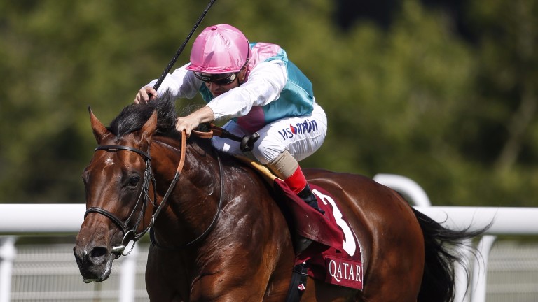 Expert Eye: lines up in the Jersey Stakes