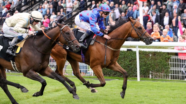 Improver Royal Brave (blue) winning at Musselburgh last time