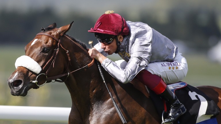 Frankie Dettori sporting the Al Shaqab silks