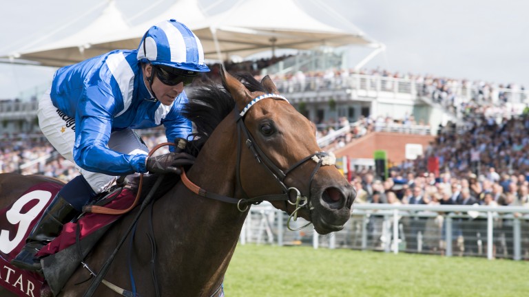 Jim Crowley on Battaash: seeking first Group 1 victory