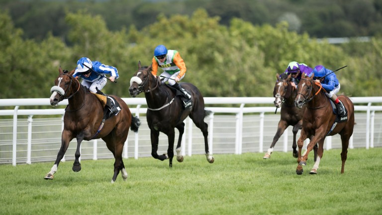 Beat The Bank was impressive when winning at Glorious Goodwood last year