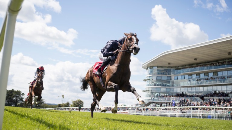 Amedeo Modigliani looks destined for the very top after winning at Galway