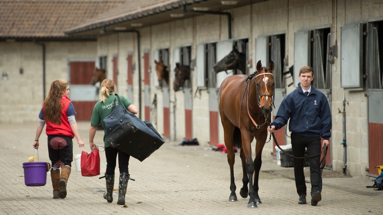 The BHA is working to show there are clear pathways for racing staff