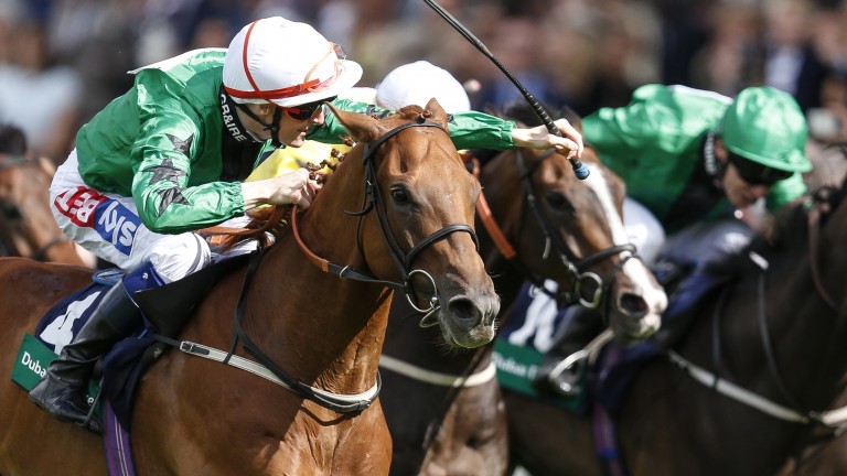 Silver lining: Fran Berry salutes the crowd after victory on Golden Apollo in the concluding Sprint, ensuring Silver Saddle success for himself and Cup glory for his team, GB & Ireland
