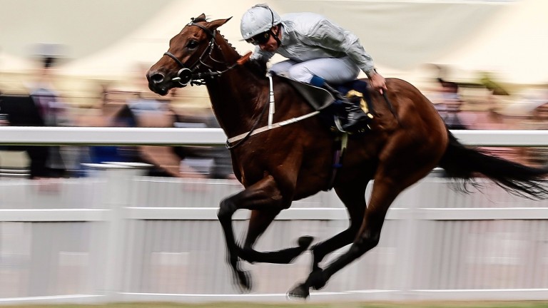 Permian (William Buick) in full flow at the end of Royal Ascot's King Edward VII Stakes