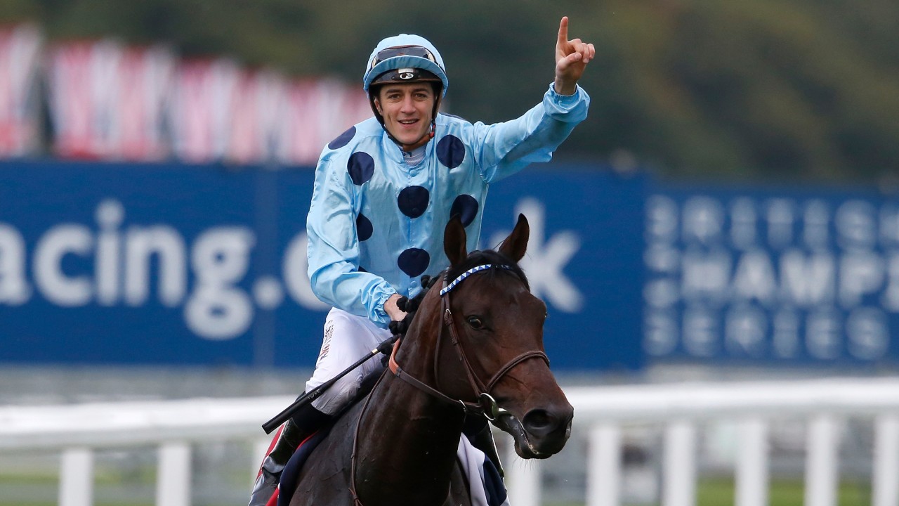 logo stramt sav Almanzor retired after disappointing Deauville reappearance | Horse Racing  News | Racing Post