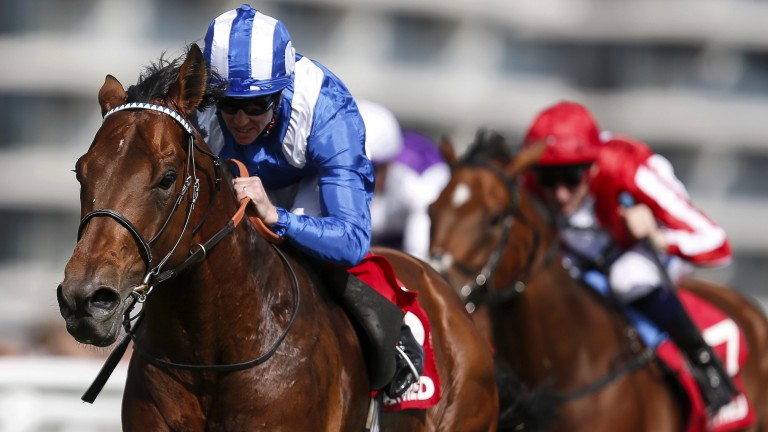 Classy comeback: last year’s 2,000 Guineas second Massaat wins nicely on his ﬁrst start this season
