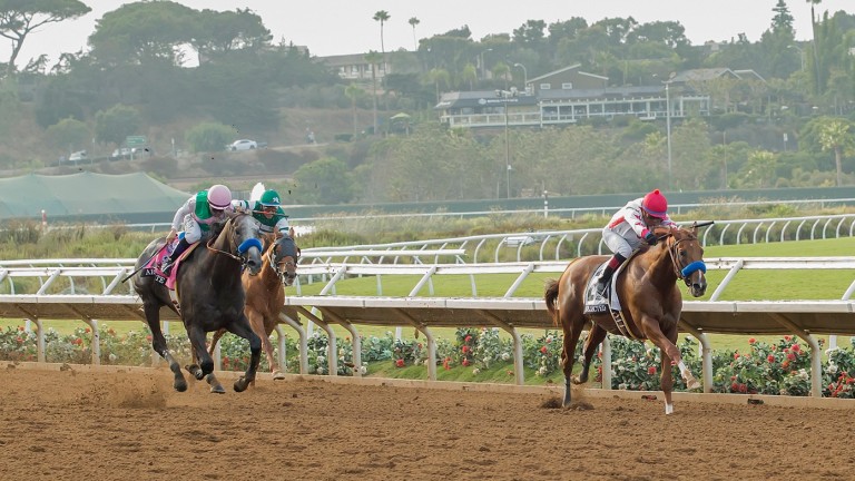 Three lengths down at the furlong marker, Arrogate (left) reduced the margin to a half-length behind Collected in the Pacific Classic