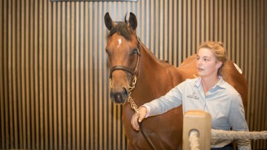 The Invincible Spirit half-sister to Group 3 winner Polydream