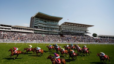 Thesme (light blue, third) runs a cracker to finish placed at York