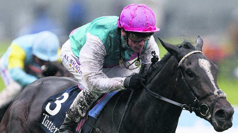 Shutter Speed, pictured winning the Musidora, is the only filly in the International line-up